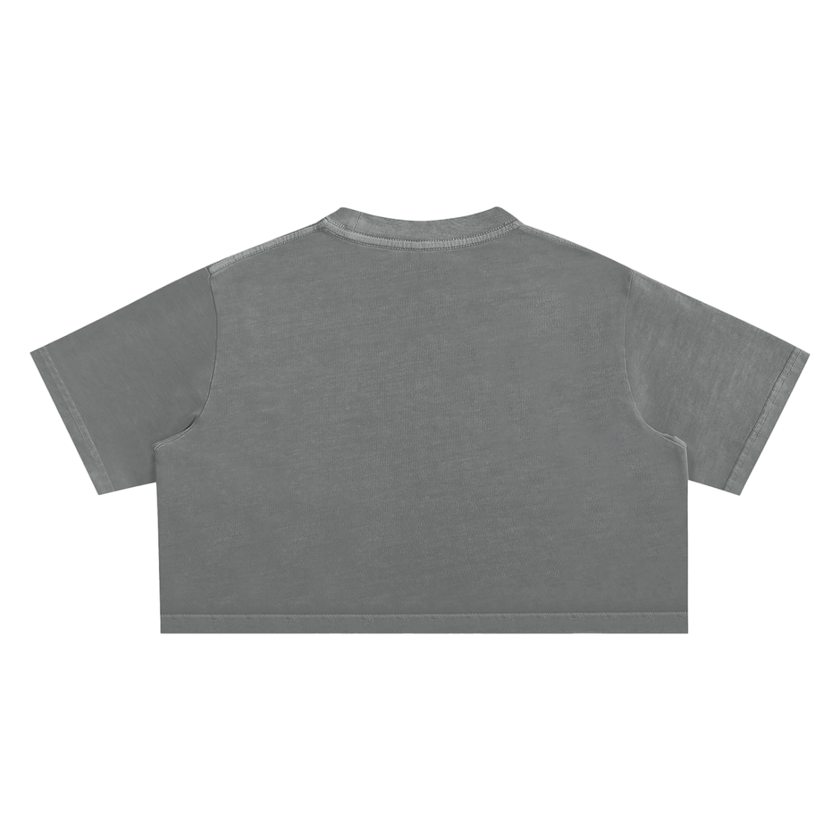 Dog MILF Vintage Crop Tee