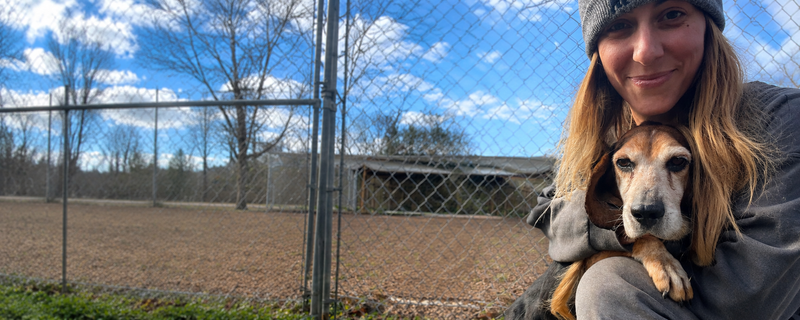 Rescue farm yard