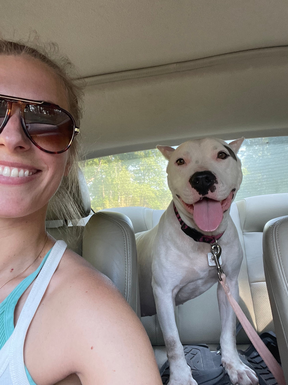 Rescue dog 4
